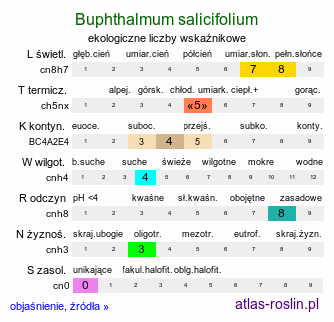ekologiczne liczby wskaźnikowe Buphthalmum salicifolium (kołotocznik wierzbolistny)
