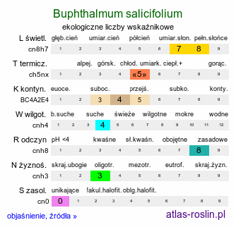 ekologiczne liczby wskaźnikowe Buphthalmum salicifolium (kołotocznik wierzbolistny)