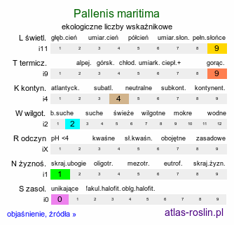 ekologiczne liczby wskaźnikowe Pallenis maritima