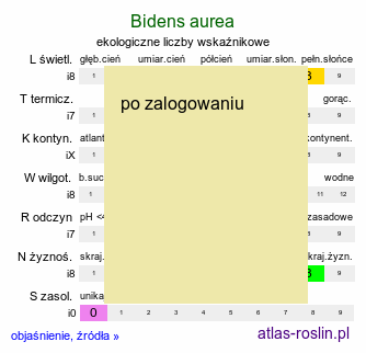 ekologiczne liczby wskaźnikowe Bidens aurea (uczep złocisty)