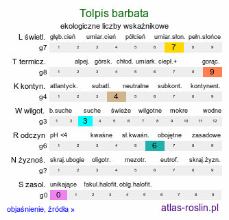 ekologiczne liczby wskaźnikowe Tolpis barbata (tolpis wąsatka)