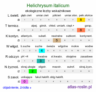 ekologiczne liczby wskaźnikowe Helichrysum italicum (kocanki włoskie)