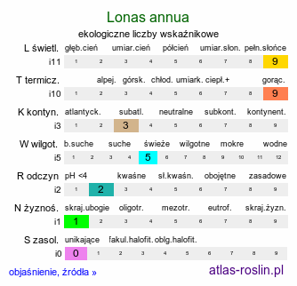 ekologiczne liczby wskaźnikowe Lonas annua (lonas roczny)