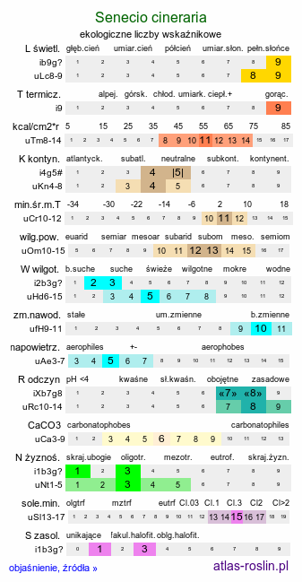 ekologiczne liczby wskaźnikowe Jacobaea maritima (starzec popielny)