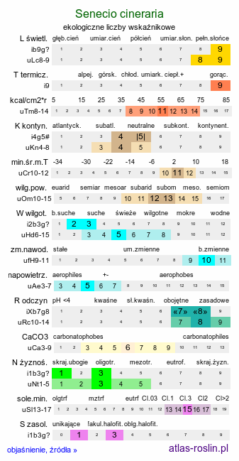 ekologiczne liczby wskaźnikowe Jacobaea maritima (starzec popielny)