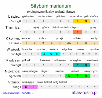 ekologiczne liczby wskaźnikowe Silybum marianum (ostropest plamisty)