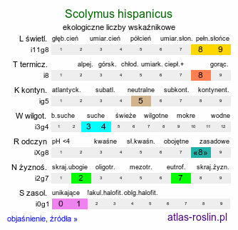 ekologiczne liczby wskaźnikowe Scolymus hispanicus (oseciec hiszpański)