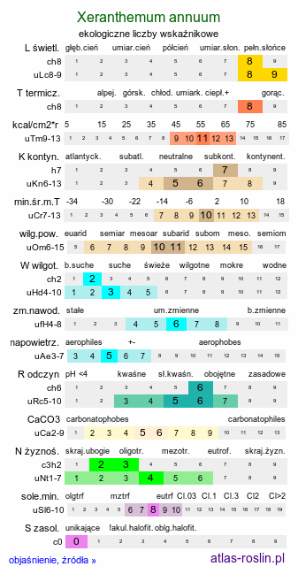ekologiczne liczby wskaźnikowe Xeranthemum annuum (suchokwiat roczny)