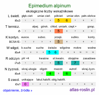 ekologiczne liczby wskaźnikowe Epimedium alpinum (epimedium alpejskie)