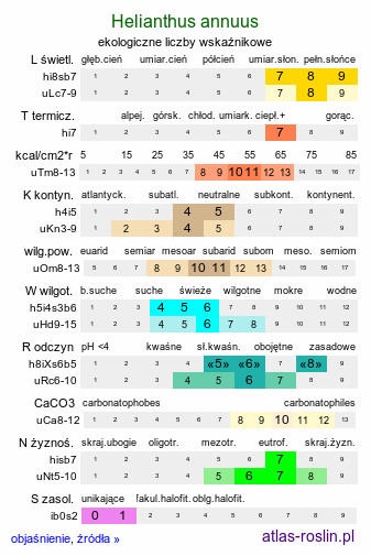 ekologiczne liczby wskaźnikowe Helianthus annuus (słonecznik zwyczajny)
