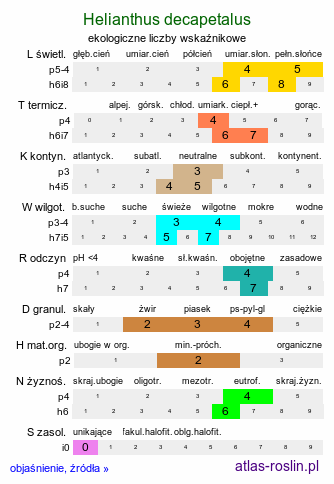 ekologiczne liczby wskaźnikowe Helianthus decapetalus (słonecznik dziesięciopłatkowy)