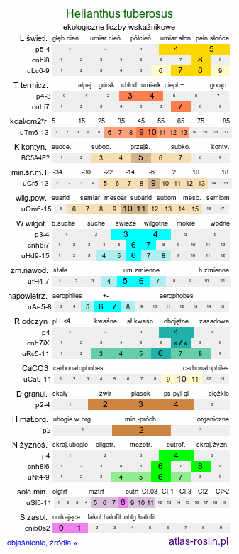 ekologiczne liczby wskaźnikowe Helianthus tuberosus (słonecznik bulwiasty)