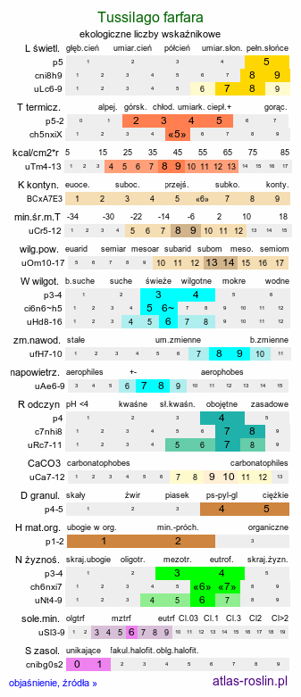 ekologiczne liczby wskaźnikowe Tussilago farfara (podbiał pospolity)