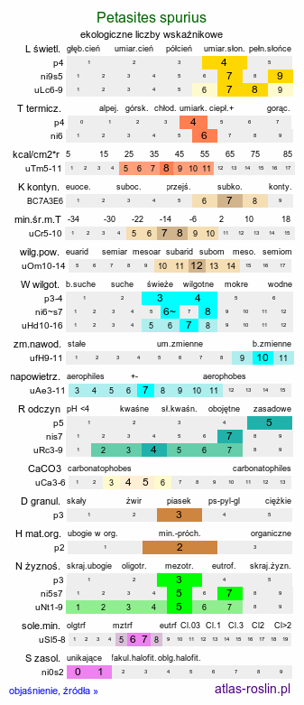 ekologiczne liczby wskaźnikowe Petasites spurius (lepiężnik kutnerowaty)