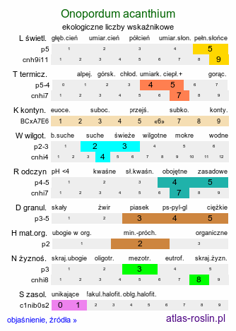 ekologiczne liczby wskaźnikowe Onopordum acanthium (popłoch pospolity)