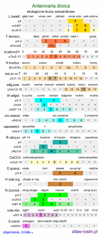 ekologiczne liczby wskaźnikowe Antennaria dioica (ukwap dwupienny)