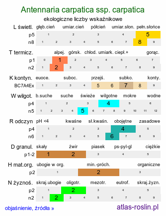 ekologiczne liczby wskaźnikowe Antennaria carpatica ssp. carpatica (ukwap karpacki typowy)