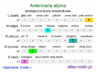ekologiczne liczby wskaźnikowe Antennaria alpina (ukwap alpejski)