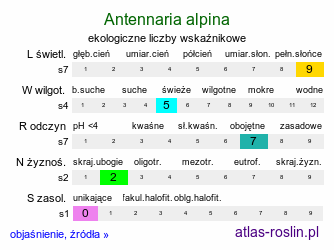 ekologiczne liczby wskaźnikowe Antennaria alpina (ukwap alpejski)