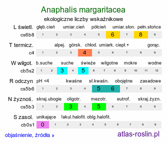 ekologiczne liczby wskaźnikowe Anaphalis margaritacea (anafalis perłowy)