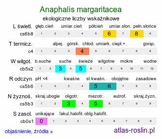 ekologiczne liczby wskaźnikowe Anaphalis margaritacea (anafalis perłowy)