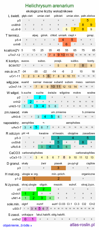 ekologiczne liczby wskaźnikowe Helichrysum arenarium (kocanki piaskowe)