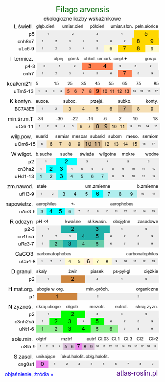 ekologiczne liczby wskaźnikowe Filago arvensis (nicennica polna)