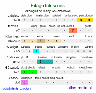 ekologiczne liczby wskaźnikowe Filago lutescens (nicennica żółtawa)