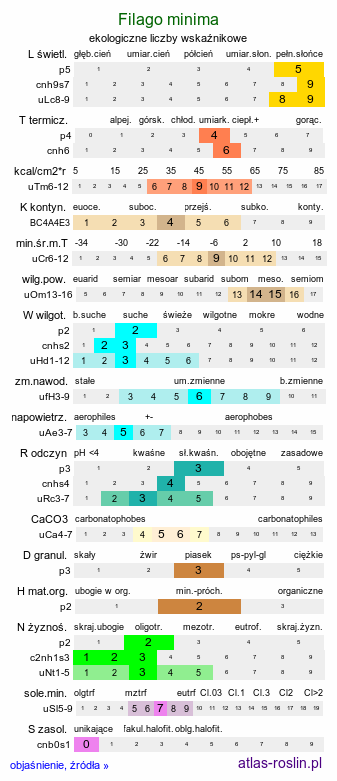 ekologiczne liczby wskaźnikowe Filago minima (nicennica drobna)