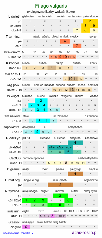 ekologiczne liczby wskaźnikowe Filago vulgaris (nicennica niemiecka)