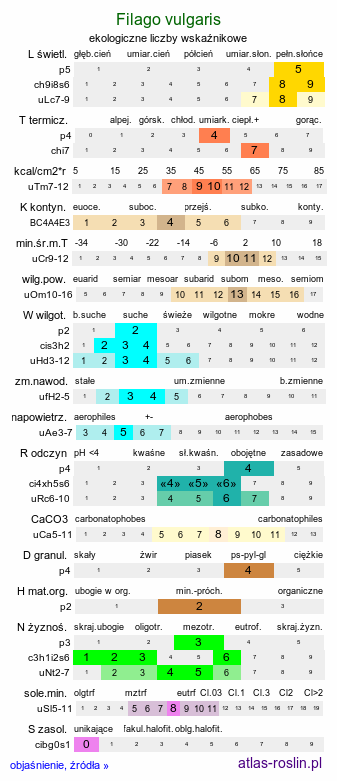 ekologiczne liczby wskaźnikowe Filago vulgaris (nicennica niemiecka)