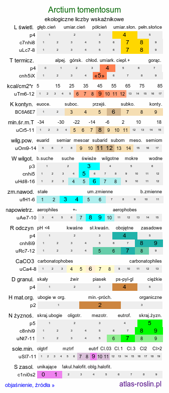 ekologiczne liczby wskaźnikowe Arctium tomentosum (łopian pajęczynowaty)