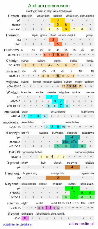 ekologiczne liczby wskaźnikowe Arctium nemorosum (łopian gajowy)