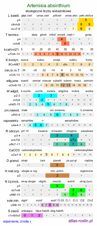 ekologiczne liczby wskaźnikowe Artemisia absinthium (bylica piołun)