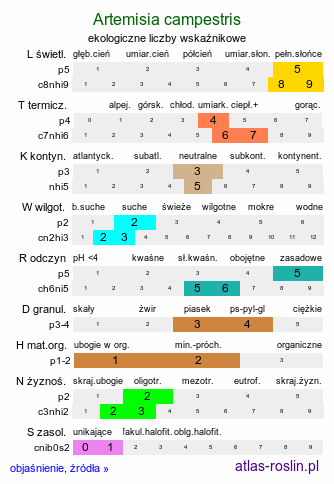 ekologiczne liczby wskaźnikowe Artemisia campestris (bylica polna)