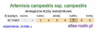 ekologiczne liczby wskaźnikowe Artemisia campestris ssp. campestris (bylica polna typowa)