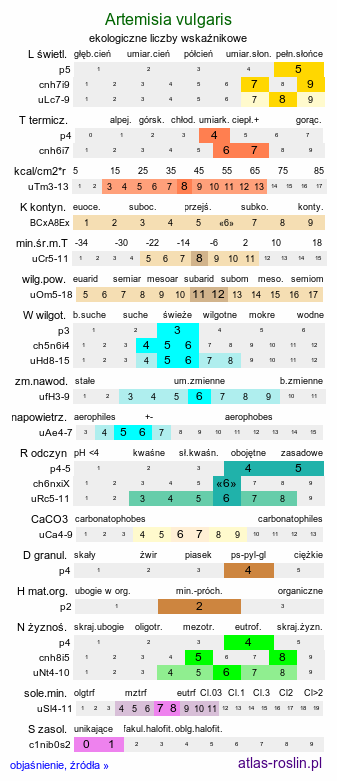 ekologiczne liczby wskaźnikowe Artemisia vulgaris (bylica pospolita)