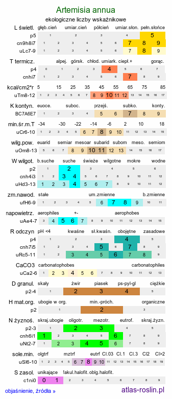 ekologiczne liczby wskaźnikowe Artemisia annua (bylica roczna)