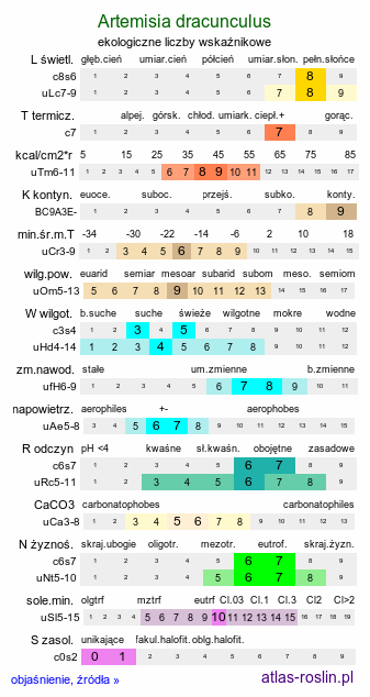 ekologiczne liczby wskaźnikowe Artemisia dracunculus (bylica draganek)