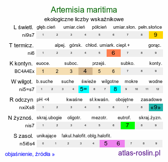 ekologiczne liczby wskaźnikowe Artemisia maritima (bylica nadmorska)