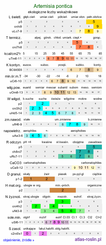 ekologiczne liczby wskaźnikowe Artemisia pontica (bylica pontyjska)
