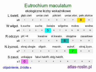 ekologiczne liczby wskaźnikowe Eutrochium maculatum (sadziec plamisty)