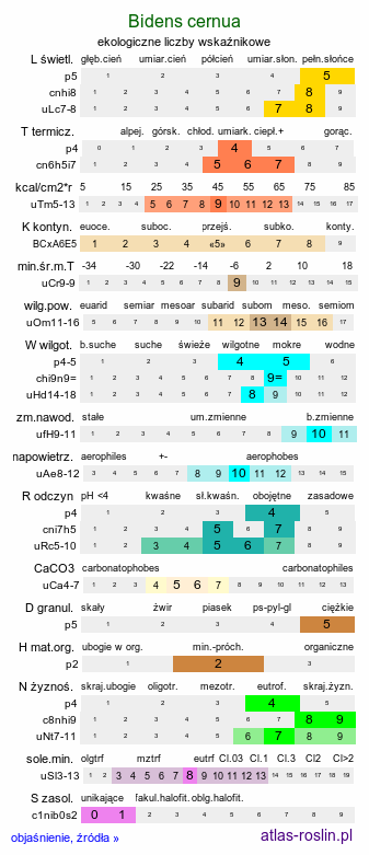 ekologiczne liczby wskaźnikowe Bidens cernua (uczep zwisły)