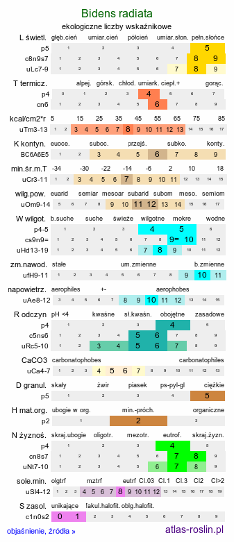 ekologiczne liczby wskaźnikowe Bidens radiata (uczep śląski)