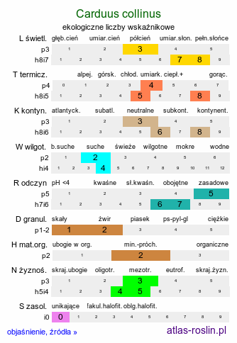 ekologiczne liczby wskaźnikowe Carduus collinus (oset pagórkowy)