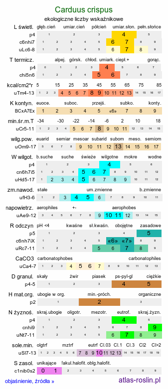 ekologiczne liczby wskaźnikowe Carduus crispus (oset kędzierzawy)