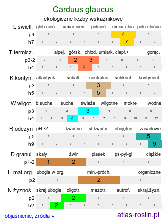 ekologiczne liczby wskaźnikowe Carduus glaucus (oset siny)