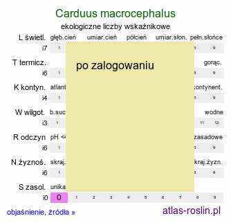 ekologiczne liczby wskaźnikowe Carduus macrocephalus (oset wielkogłówkowy)
