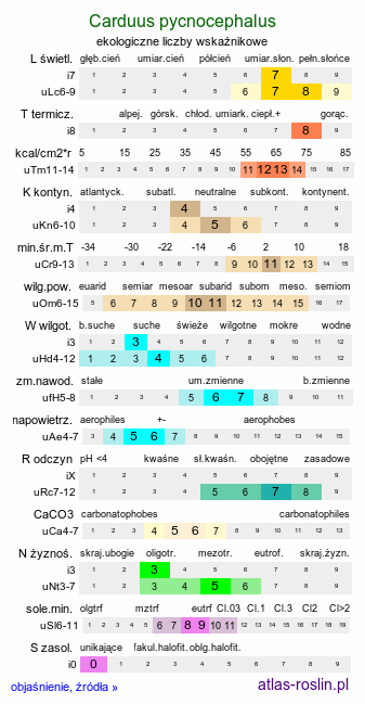 ekologiczne liczby wskaźnikowe Carduus pycnocephalus (oset włoski)