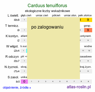 ekologiczne liczby wskaźnikowe Carduus tenuiflorus (oset wąskokwiatowy)